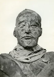Kopf der Mumie von Ramses III., altägyptischer Pharao der 20. Dynastie, ca. 1156 v. Chr. 1926