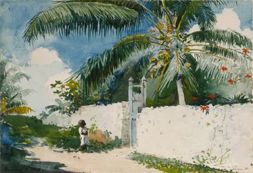 Ein Garten in Nassau