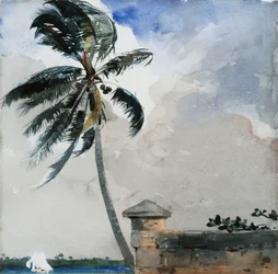 Eine tropische Brise, Nassau, 1889-90