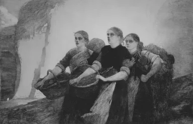 Eine Stimme von den Klippen