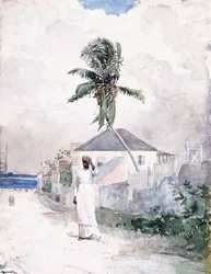 Entlang der Straße, die Bahamas