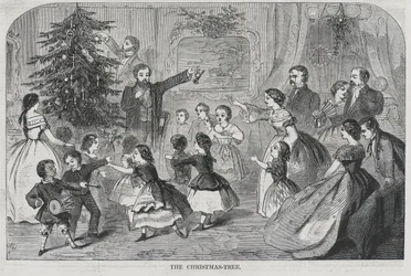 Weihnachten - Immergrün sammeln Der Weihnachtsbaum