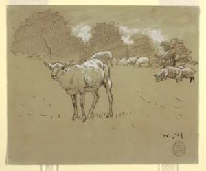 Schafe auf einer Weide, ca. 1875–78