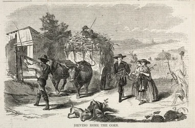 Heimfahrt des Korns, 1858