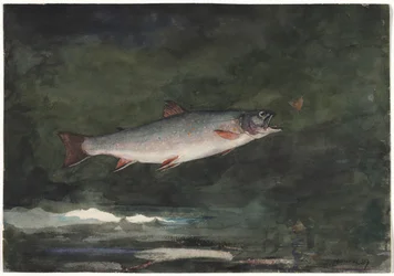 Springende Forelle, 1889