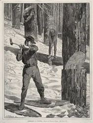 Holzfällerei im Winter