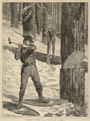 Holzfällerei im Winter, aus Every Saturday: A Journal of Choice Reading, 28. Januar 1871