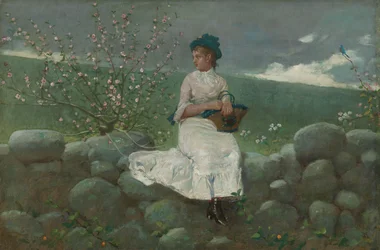 Pfirsichblüten