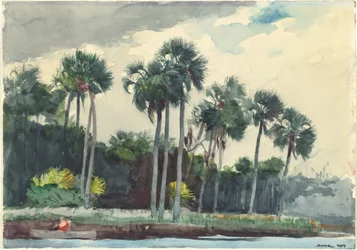 Rotes Hemd, Homosassa, Florida