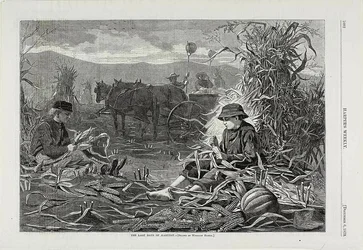 Die letzten Tage der Ernte