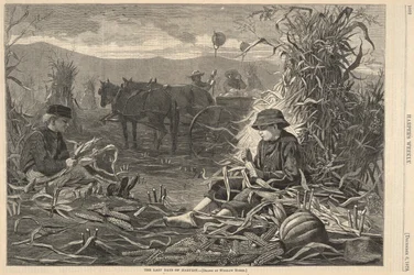 Die letzten Tage der Ernte, aus Harper