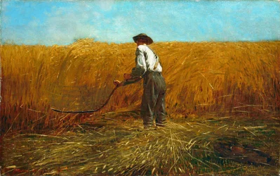 Der Veteran auf einem neuen Feld