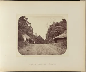 Gipfel des Poentjak bei Buitenzorg