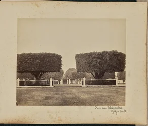 Bäume in der Nähe des Wasserpalastes, Djokjakarta