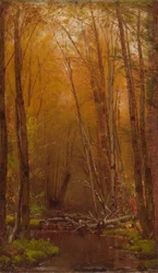 Die Birken der Catskills