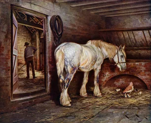 Am Ende des Tages: Pferd im Stall, während ein Mann ausmistet
