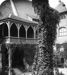 Lindenbaum in einem Innenhof, Nürnberg, Bayern, Deutschland, ca. 1900er Jahre