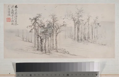 Landschaften