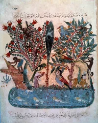 Die geheimnisvolle Insel, bevölkert von seltsamen Tieren. Miniatur aus den Maqamat von Abu Mohammed al-Kasim ibn Ali Hariri, illuminiert von Yahya Mahmud al-Wasiti