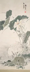 Reiher und Lotus, n.d.