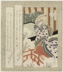 Die Komachi-Kirschblüte