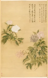Pfingstrosen, 1685