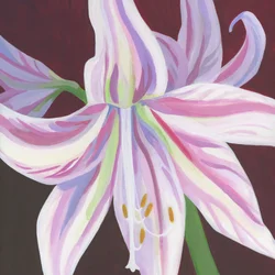 Lebendige Gestreifte Amaryllis