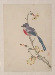 Vögel, Insekten und Blumen
