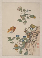 Vögel, Insekten und Blumen