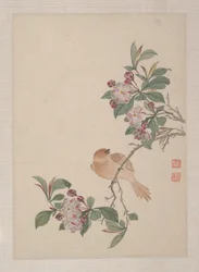 Vögel, Insekten und Blumen