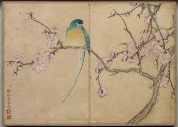 Schreibtischalbum: Blumen- und Vogelmalereien (Vogel mit Pflaumenblüten)