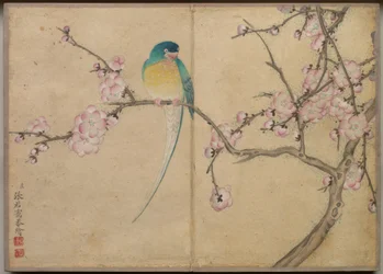 Schreibtischalbum: Blumen- und Vogelmalereien (Vogel mit Pflaumenblüten)