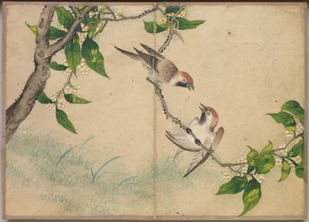 Schreibtischalbum: Blumen- und Vogelmalereien (Schwatzende Spatzen)