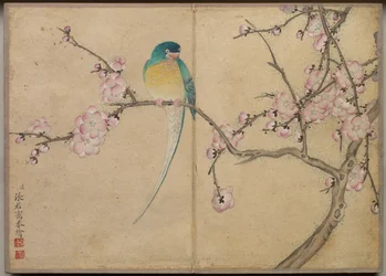 Schreibtischalbum: Blumen- und Vogelmalereien, Vogel mit Pflaumenblüten, 18. Jahrhundert