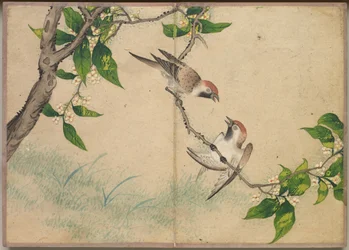 Schreibtischalbum: Blumen- und Vogelmalereien Tratschende Spatzen, 18. Jahrhundert
