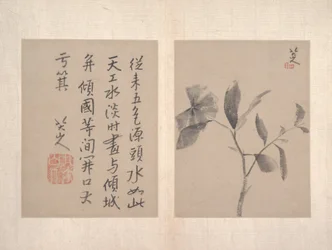 Album mit verschiedenen Gemälden (Album mit zwölf Gemälden)