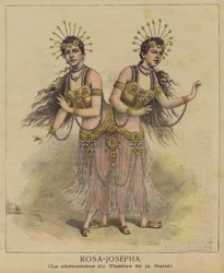 Siamesische Zwillinge