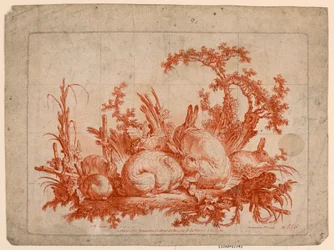 Familie von Kaninchen