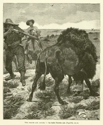 Eine Bisonjagd