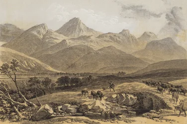 Benmore, Perthshire