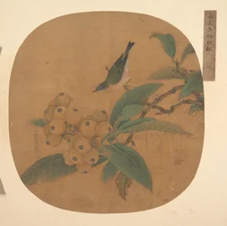 Vogel auf einem Loquatbaum