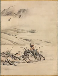 Blumen und Vögel in einer Frühlingslandschaft