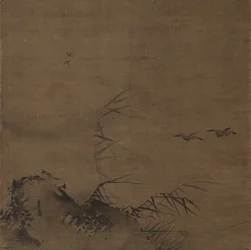 Wasservögel und Schilf