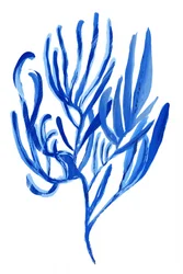 Abstrakte Blaue Koralle