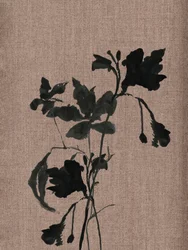 Schwarze botanische Silhouette