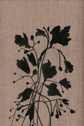 Schwarze botanische Silhouetten