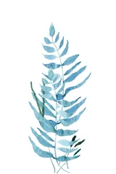 Blaue Aquarellfarn