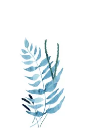 Blaue Aquarellfarne