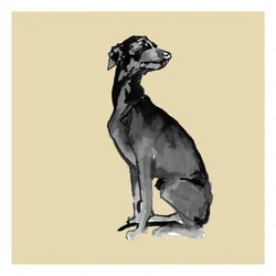 Eleganter schwarzer Hund