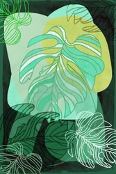 Grüne organische Monstera